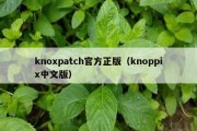 knoxpatch官方正版（knoppix中文版）