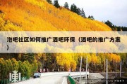 泡吧社区如何推广酒吧环保（酒吧的推广方案）