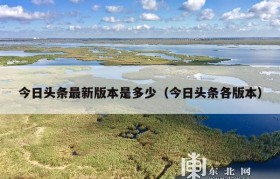今日头条最新版本是多少（今日头条各版本）