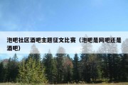 泡吧社区酒吧主题征文比赛（泡吧是网吧还是酒吧）