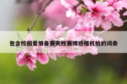 包含校园爱情备赛失败赛博感相机拍的词条