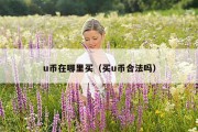 u币在哪里买（买u币合法吗）