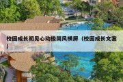校园成长初见心动极简风横屏（校园成长文案）