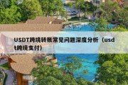 USDT跨境转账常见问题深度分析（usdt跨境支付）