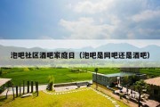 泡吧社区酒吧家庭日（泡吧是网吧还是酒吧）