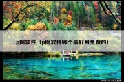 p图软件（p图软件哪个最好用免费的）