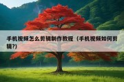 手机视频怎么剪辑制作教程（手机视频如何剪辑?）