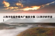 二狗子在超市看大广播多少集（二狗子的节目）