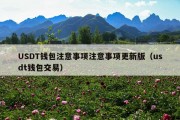 USDT钱包注意事项注意事项更新版（usdt钱包交易）