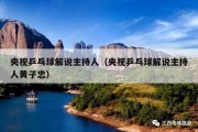 央视乒乓球解说主持人（央视乒乓球解说主持人黄子忠）