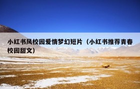 小红书风校园爱情梦幻短片（小红书推荐青春校园甜文）
