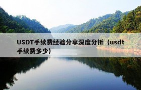 USDT手续费经验分享深度分析（usdt手续费多少）
