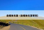 自媒体文案（自媒体文案策划）