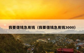 我要借钱急用钱（我要借钱急用钱3000）