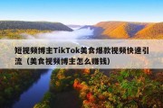 短视频博主TikTok美食爆款视频快速引流（美食视频博主怎么赚钱）