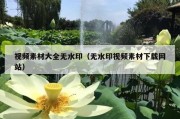 视频素材大全无水印（无水印视频素材下载网站）