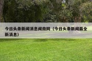 今日头条新闻消息闽南网（今日头条新闻最全新消息）