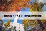 黄梅电视台在线播放（黄梅县电视台直播）
