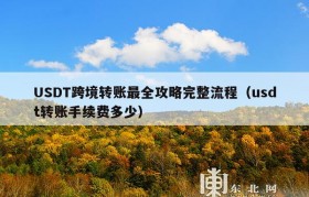 USDT跨境转账最全攻略完整流程（usdt转账手续费多少）