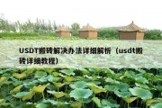 USDT搬砖解决办法详细解析（usdt搬砖详细教程）