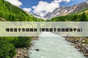哪些属于市级媒体（哪些属于市级媒体平台）