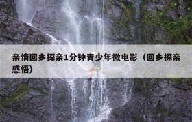 亲情回乡探亲1分钟青少年微电影（回乡探亲感悟）