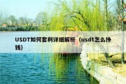 USDT如何套利详细解析（usdt怎么挣钱）
