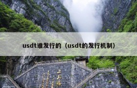 usdt谁发行的（usdt的发行机制）