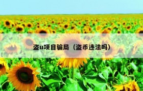 盗u项目骗局（盗币违法吗）