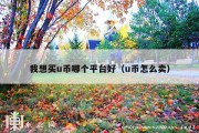 我想买u币哪个平台好（u币怎么卖）