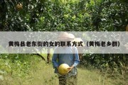 黄梅县老东街的女的联系方式（黄梅老乡群）