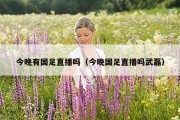 今晚有国足直播吗（今晚国足直播吗武磊）