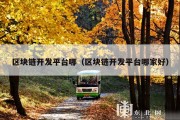 区块链开发平台哪（区块链开发平台哪家好）