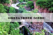 bt钱包怎么下载到手机（bt币钱包）