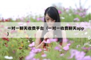 一对一聊天收费平台（一对一收费聊天app）