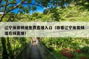 辽宁体育频道免费直播入口（收看辽宁体育频道在线直播）