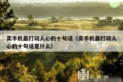 卖手机最打动人心的十句话（卖手机最打动人心的十句话是什么）