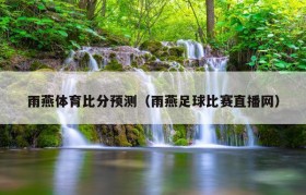 雨燕体育比分预测（雨燕足球比赛直播网）