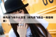 候鸟南飞有什么深意（候鸟南飞南边一般指哪里）