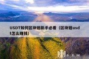 USDT如何区块链新手必看（区块链usdt怎么赚钱）