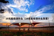 10元能投资什么（10元能投资什么生意）