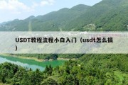 USDT教程流程小白入门（usdt怎么搞）