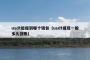 usdt能提到哪个钱包（usdt提现一般多久到账）