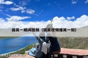 搞笑一瞬间视频（搞笑视频爆笑一刻）