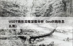 USDT钱包流程深度分析（usdt钱包怎么用）