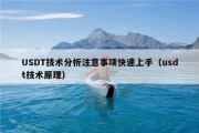 USDT技术分析注意事项快速上手（usdt技术原理）