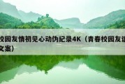 校园友情初见心动伪纪录4K（青春校园友谊文案）