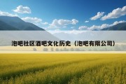 泡吧社区酒吧文化历史（泡吧有限公司）