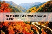 USDT交易新手必看完整流程（usdt交易教程）