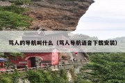 骂人的导航叫什么（骂人导航语音下载安装）